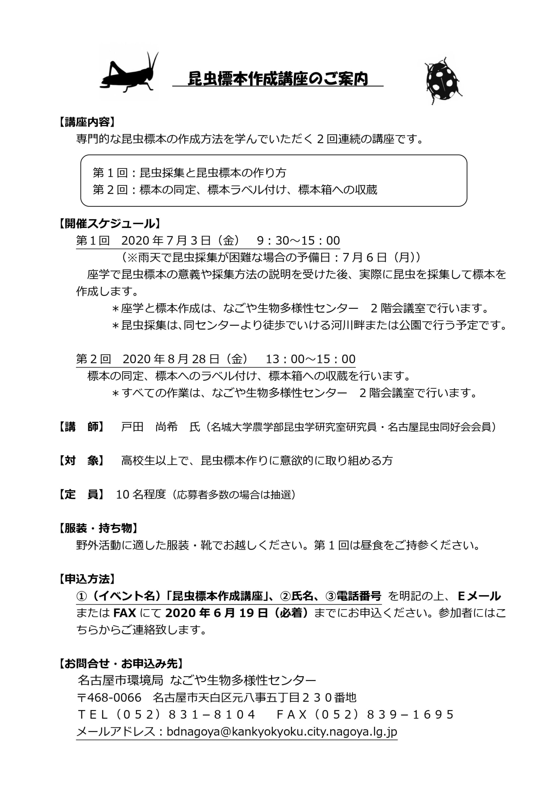 昆虫標本作成講座 なごや生物多様性センター なごや生きものライブラリー