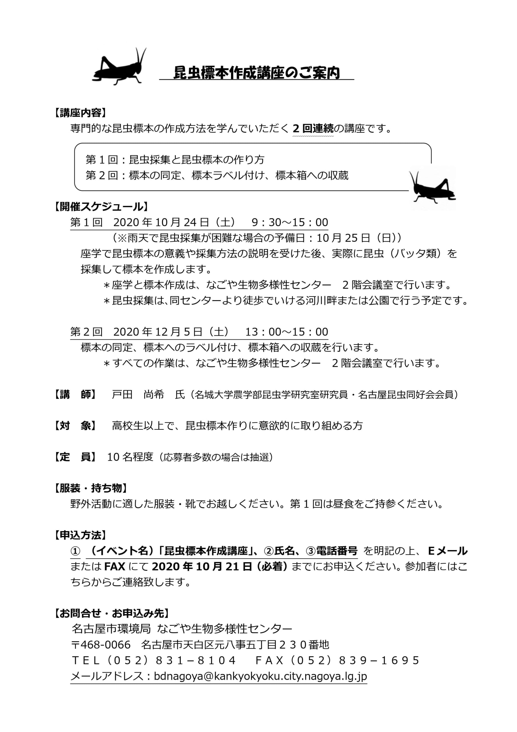 昆虫標本作成講座 なごや生物多様性センター なごや生きものライブラリー