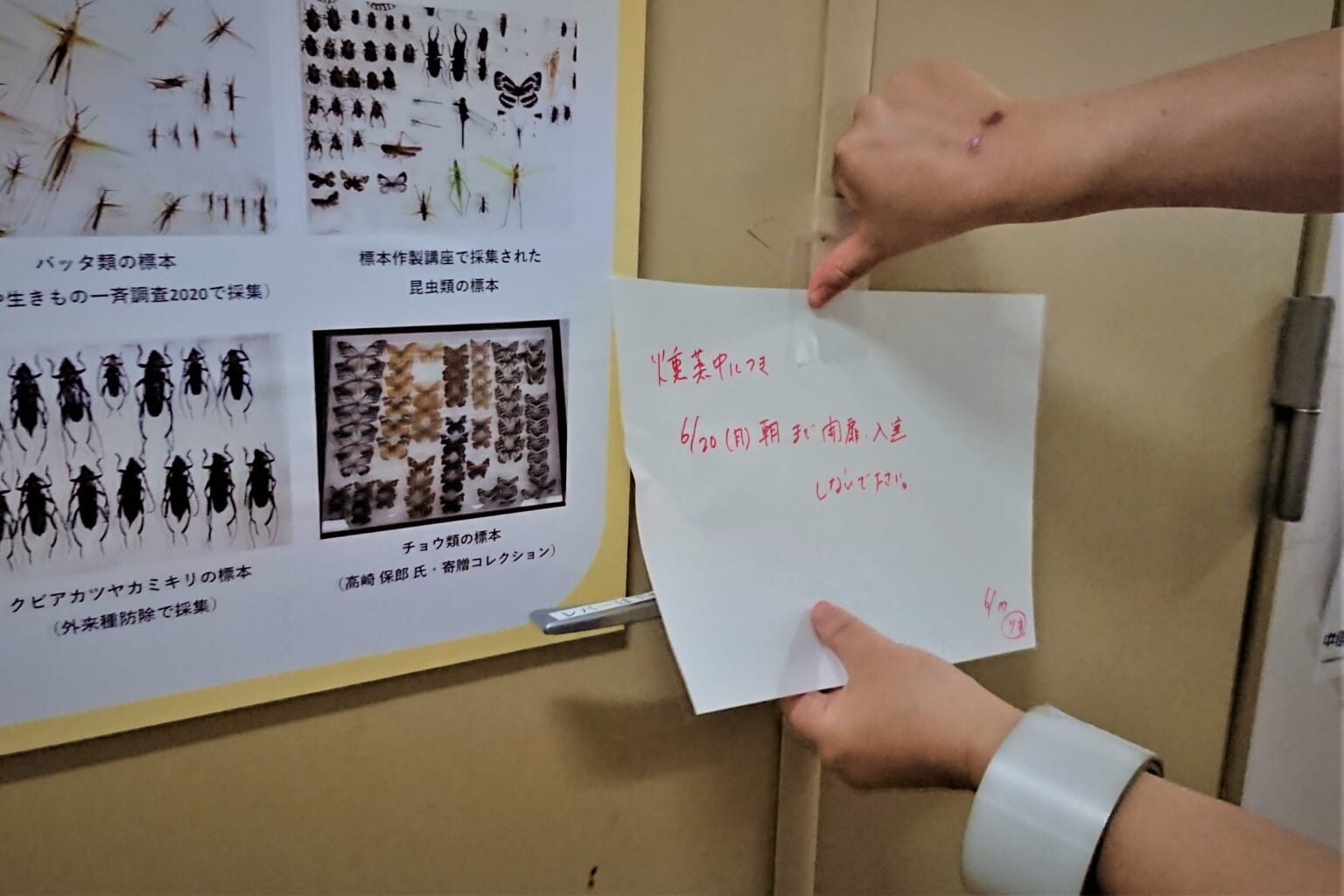 燻蒸処理中の張り紙(うっかり入室防止策) – なごや生物多様性センター|なごや生きものライブラリー