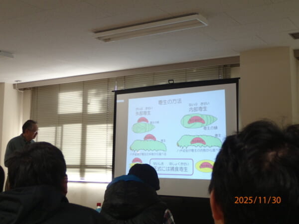 寄生の方法についての説明