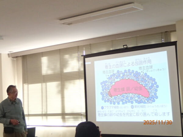 寄主の血球による包囲作用の説明